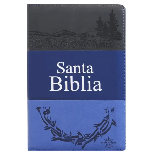 Portada del libro Biblia RV 1960 letra grande tritono azul cierre