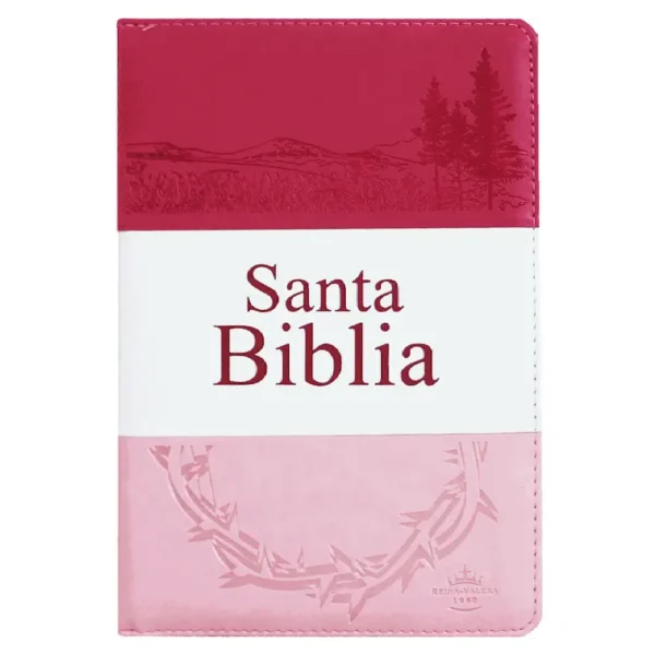 Portada del libro Biblia RV 1960 letra grande tritono rosa cierre